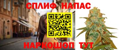 прущие крисы Гай