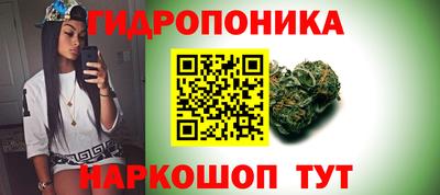 ешки Гатчина
